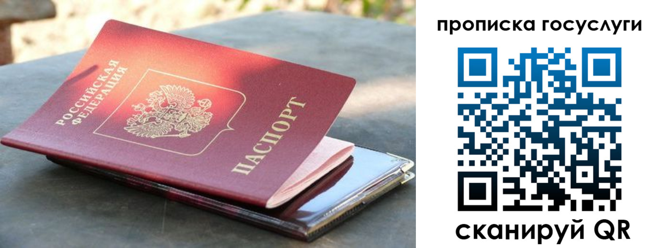 миграционный учет в Ингушетии